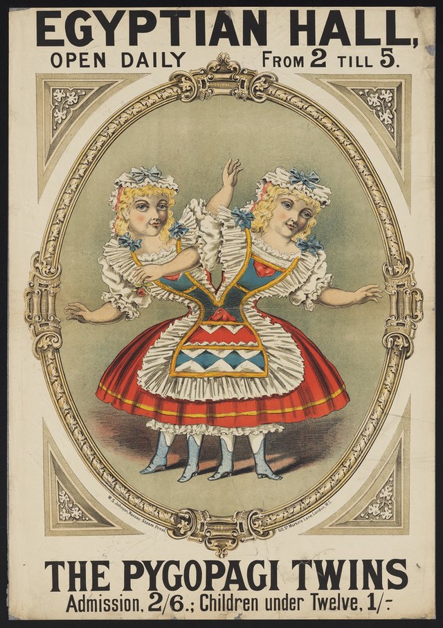 digitised image 1