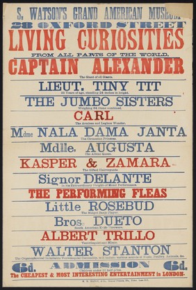 S. Watson's Grand American Museum, 28 Oxford Street : Living curiosities from all parts of the world : Captain Alexander, the giant of giants... [etc.].