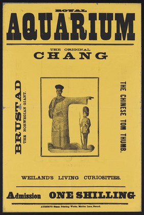 Royal Aquarium : the original Chang, Brustad, the Norwegian giant, the Chinese Tom Thumb,  Wieland's living curiosities : admission one shilling.