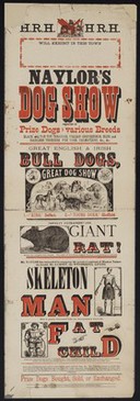 Naylor's Dog Show consisting of prize dogs of various breeds... : novelty extraordinary giant rat... : Mr. Samson, the wonderful Living Skeleton Man who is greatly contrasted with the extraordinary American Fat Child.