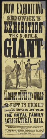 On exhibition at Sedgwick's Exhibition : the Norfolk Giant :  the largest youth in the world... standing nearly 8 feet in height.