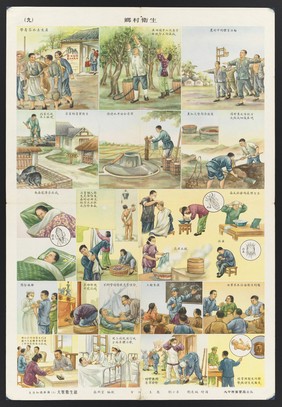 Healthcare and prevention of disease in Communist China. Colour lithographs, 195-.