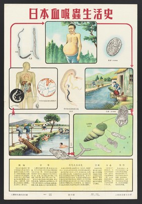 Hygiene in China: the ten parasites. Colour lithographs, 1952.