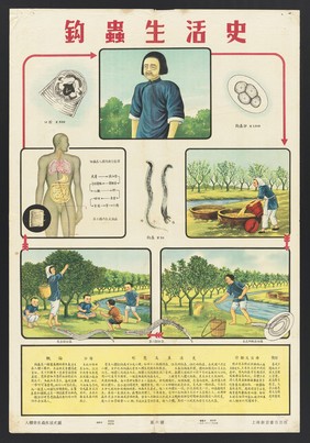 Hygiene in China: the ten parasites. Colour lithographs, 1952.