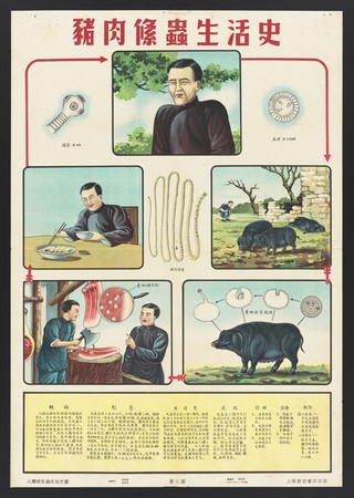 Hygiene in China: the ten parasites. Colour lithographs, 1952.