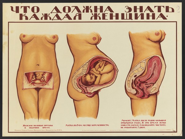 Female genital organs before, during and after pregnancy. Colour lithograph by O. Gri︠u︡n, 1925.