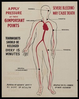 Points in arteries where pressure reduces bleeding. Colour lithograph by Rhode Island Council of War Agencies, 194-.