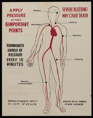 Points in arteries where pressure reduces bleeding. Colour lithograph by Rhode Island Council of War Agencies, 194-.