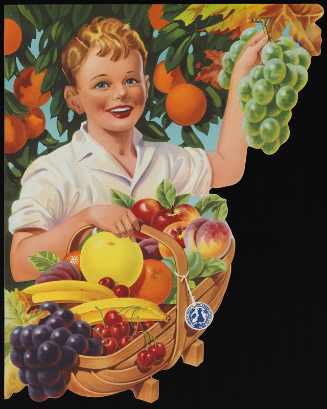 No text description is available for this image