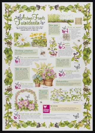 Hay fever: tips for minimising the effects of pollen on hay fever sufferers in their own gardens. Colour lithograph for the Nederlands Astma Fonds, 1998.