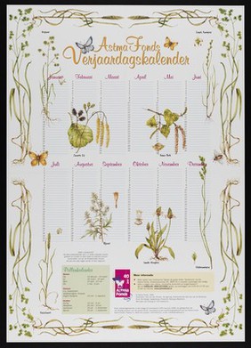 Hay fever: a calendar showing effects of various grasses etc. on hay fever sufferers in different months. Colour lithograph for the Nederlands Astma Fonds, 1999.