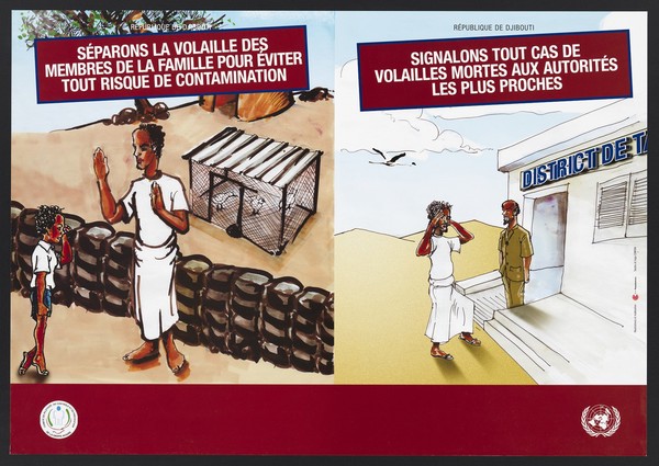 Prevention of avian flu in Djibouti. Colour lithograph by Pamplemoos and Cripen for Comité de Pilotage de Contrôle et de Prévention de la Grippe Aviaire, ca. 2008.