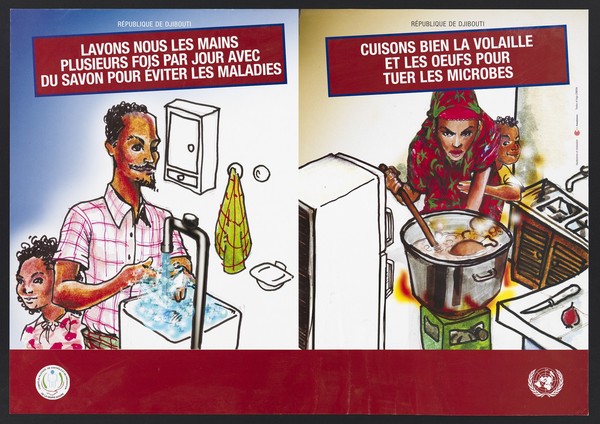 Prevention of avian flu in Djibouti. Colour lithograph by Pamplemoos and Cripen for Comité de Pilotage de Contrôle et de Prévention de la Grippe Aviaire, ca. 2008.