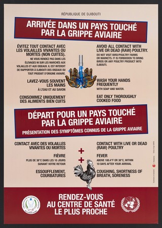 Prevention of avian flu in Djibouti. Colour lithograph by Pamplemoos for Comité de Pilotage de Contrôle et de Prévention de la Grippe Aviaire , ca. 2008.