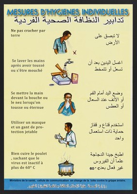 Personal hygiene practices to prevent avian flu in Djibouti. Colour lithograph by Ministère de la Santé, ca. 2006.