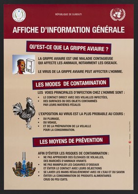 Prevention of avian flu in Djibouti. Colour lithograph by Pamplemoos and Cripen for Comité de Pilotage de Contrôle et de Prévention de la Grippe Aviaire, ca. 2008.