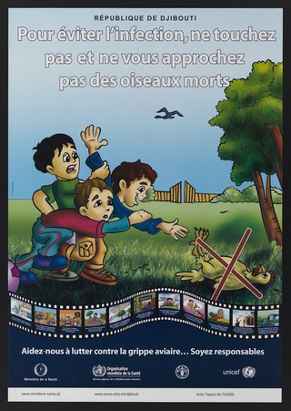 Prevention of avian flu and poultry contamination in Djibouti. Colour lithograph by Yat Advertising for République de Djibouti Ministère de la Santé , ca. 2006.