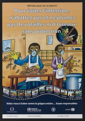 Prevention of avian flu and poultry contamination in Djibouti. Colour lithograph by Yat Advertising for République de Djibouti Ministère de la Santé , ca. 2006.