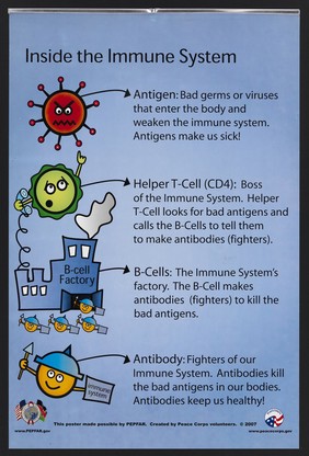 The immune system: fighting viruses in Kenya. Colour lithograph by Peace Corps Volunteers and PEFPFAR, 2007.