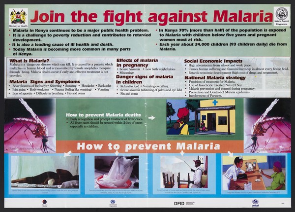 A mosquito that transmits malaria with images of how to prevent it: the Malaria Control Programme in Kenya. Colour lithograph by Ministry of Health , 2004.