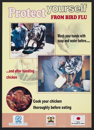 Women preparing a chicken and washing their hands: protecting from avian flu in Kenya. Colour lithograph by Ministry of Health, ca. 2006.