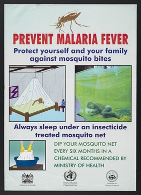 A child asleep under a mosquito net and treating the net: malaria prevention in Kenya. Colour lithograph by Ministry of Health Malaria Control Programme, ca. 2000.