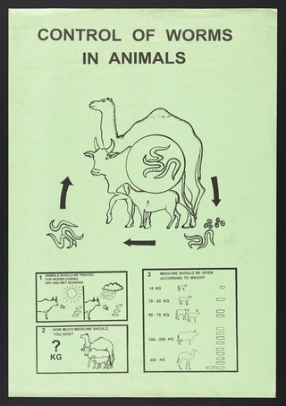 Treatment of worms in animals in Kenya. Colour lithograph, ca. 2000.