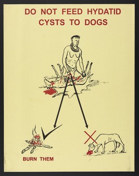 An African man tearing meat from the carcass of an animal: parasitic infections in Kenya. Colour lithograph, ca. 2000.