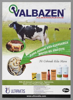 A cow wearing a rosette above an image of a parasite that affects cattle: advert for Valbazen, a cure for parasitic cattle infections in Kenya. Colour lithograph by Ultravetis, ca. 2000.