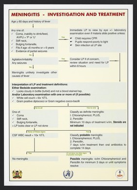 Investigation and treatment chart of meningitis in Kenya. Colour lithograph by the Ministry of Health, ca. 2000.