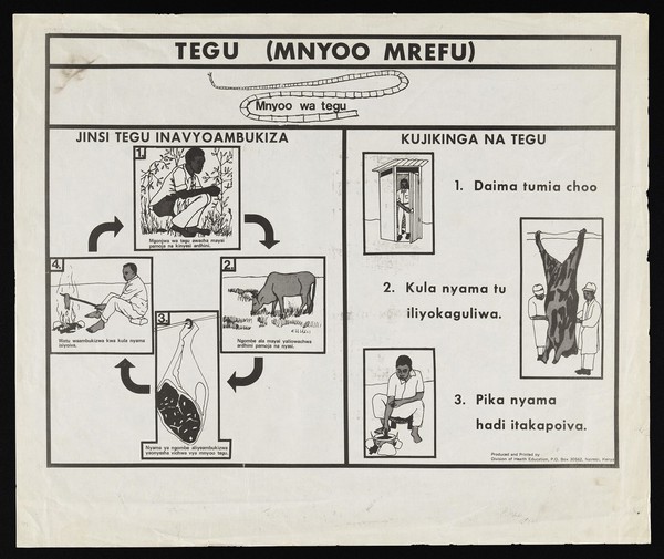 Illustrated lifecyle and prevention of tapeworm in Kenya. Lithograph by Division of Health Education, ca. 2000.