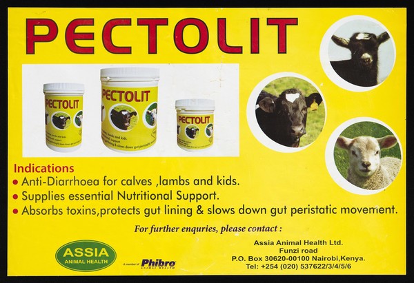 Tubs of Pectolit and faces of cattle: animal health in Kenya. Colour lithograph by Assia Animal health Ltd., ca. 2000.