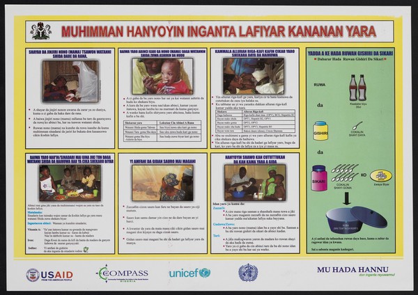 Illustrated guide to child survival interventions in Nigeria. Colour lithograph by Kwara State Ministry of Health, ca. 2000.