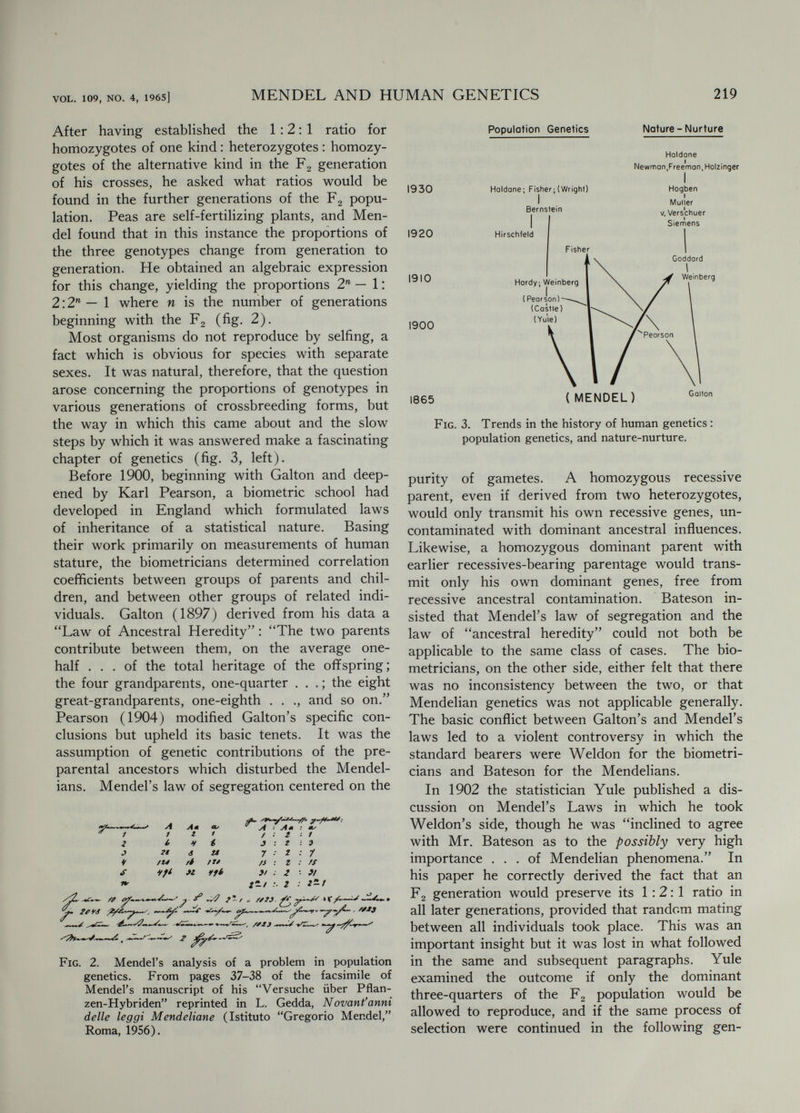 VOL. 109, NO. 4, 1965] MENDEL AND HUMAN GENETICS 221 handed me the now well-known formula pr = Naturally pleased at getting so neat and prompt an answer I promised him that it should be known as Hardy's Law—a promise fulfilled in the next edi¬ tion of my Mendelism. The essence of Hardy's finding is the constancy of the distribution of the three genotypes after the second generation whatever the values of p, q and r may be, that is, whatever the frequencies of the two alleles may be. Specifically, Hardy showed through two examples that the proportion of brachydactylous persons, if the trait is domi¬ nant, will have no tendency whatever to increase, and if it were recessive, would have no tendency to decrease. It may be added that, while Hardy pointed out that he had considered only the very simplest hypothesis possible, he had actually treated, for the first time, the problem of genetic drift which was to become so important in Wright's later work. There is a postscript to Hardy's one-page note according to which Yule would accept its substance as a satisfactory answer to the difficulty that he raised. It has been said that Nature yields answers only to correctly formulated questions. Hardy's solution to Yule's difficulty shows that wrong questions may sometimes be fruitful also. I have wondered occasionally whether the statistician Yule's original question was asked seriously or rather with tongue-in-cheek in order to embarrass the Mendelian lecturer. Apparently this suspicion is quite unjustified. The question rather shows how a distinguished statistician could miss the general concept of allele frequencies which appeared so obvious to Hardy who could find nothing more subtle to apply to it than a little mathematics of the multiplication-table type. Hardy's note was published Science. The reason why it appeared . . . [there] is that Nature at that time was extremely hostile and refused to publish anything tainted with Mendelism. ^ Hardy's Law remained known under this designation until 1943 when it was realized that, independently of Hardy and indeed at least six weeks prior to Hardy's involvement in genetics, Weinberg had presented the equivalent formula before the Society for Natural History in Stuttgart (Stern, 1943). The publication of his paper also preceded that of Hardy's (Weinberg, 1908). Weinberg came to it as a biologist and physician 3 Where p, 2q and r are the properties of AA, Aa, and aa individuals in the population varying for the A-a difference. See footnote p. 9 in R. C. Punnett, 1950. * R. C. Punnett, Feb. 5, 1950 in letter to the author. who had embarked on a wide-ranging mathe¬ matical treatment of problems of human genetics. His approach was less abstract than that of the mathematician Hardy. The idea of allele fre¬ quencies is not 'explicitly expressed by either Weinberg or Hardy, since both start with fre¬ quencies of genotypes. Instead of Hardy's three interrelated parameters p, q and r, Weinberg uses only two, m and n, which represent the frequencies of the two initial homozygous populations AA and aa and thus actually allele frequencies. He expresses the result of panmixis for the first time in the now familiar form : fyi^AA + 2m-nAB 4- BB (where A and В are alleles). The names of both the discoverers are now at¬ tached to the population formula; The Hardy- Weinberg Law. In 1909 Weinberg generalized the theorem in terms valid for multiple alleles, and investigated polyhybrid populations in which he recognized their essentially different method of attaining equilibrium. Since that time the concept of allele frequencies and the formula for equilibrium in case of panmixis in Mendelian populations have been the foundation for population genetics in general. A very impressive application of an expanded Hardy-Weinberg formula was made by Bernstein (1924, 1925). This mathematician had earlier become interested in human genetics and had interpreted population data on variations in sing¬ ing voice and direction of hair whorl as found in different populations in terms of allelic differences of single pairs of genes. His evidence consisted in a fit of the proportions of phenotypes to the p'^ : 2pq : expectation (where p and q correspond to Weinberg's ш and n, and not to Hardy's terms). Bernstein then turned to a population genetic analysis of the frequencies of the four blood group types O, A, В and AB. Numerous records of racially variant blood-group frequencies were available, beginning with the discovery of this phenomenon by L. and H. Hirschfeld. As noted earlier in this paper, a genetic inter¬ pretation of the blood-group variations had been given. It assumed the existence of two pairs of alleles, A-a and В-Ъ. When Bernstein com¬ pared the expectations for tbe blood-group fre¬ quencies according to the dihybrid Hardy-Wein- berg formula with the observed proportions, he found significant and consistent differences. He