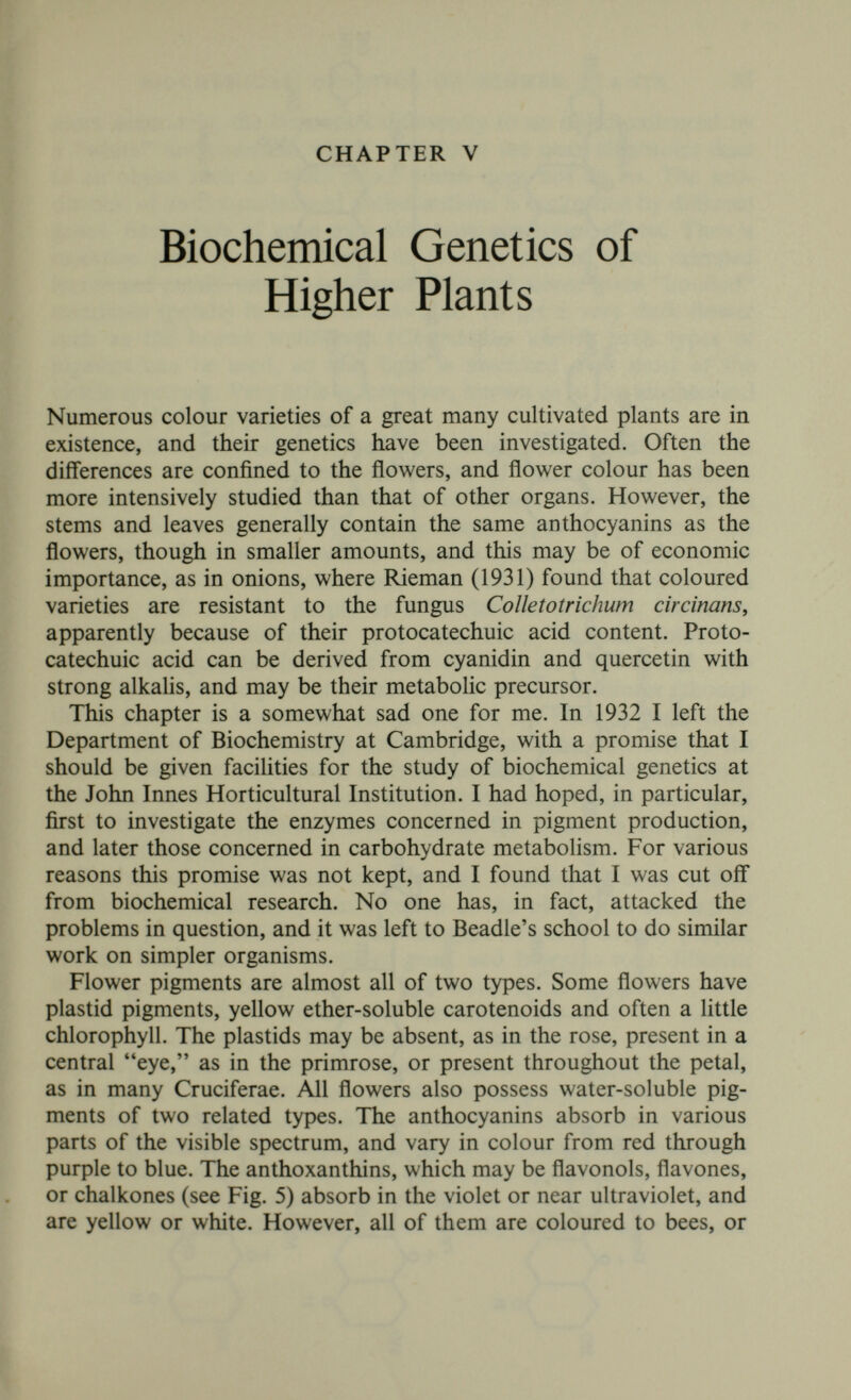 BIOCHEMICAL GENETICS OF HIGHER PLANTS 55 more accurately, the bees react differently to an object coloured by a white anthoxanthin which absorbs in the near ultraviolet than to an object such as white paper which does not do so. The pro¬ duction of anthocyanins and anthoxanthins is controlled by different genes. Each class of gene may also have structural effects. Thus a recessive gene for large eye in Primula sinensis gives crimped leaves and petals, one for uniformity of petal colour gives hooded standards (petals) in Lathy rus odoratus. To get a very dark flower such as the brown wallflower (Cheiranthus cheiri) both types of pigment can be used, so that light is absorbed over most of the visible spectrum. Very little is, however, known as to the biochemical genetics of plastid pigments. The anthocyanins always, and the anthoxanthins usually, exist as glycosides. Fig. 5 gives the constitution of the aglucone residues. The sugars, which may be monoses or bioses, are attached in the 3 or both the 3 and 5 positions. Both types of pigments are indicators. The anthoxanthins become yellow or yellower in alkaline solution, the anthocyanins are red at pH 2-5, often blue at 7-10, and may be purple or colourless in between. However, pelargonidin derivatives do not turn blue. Various colourless organic co-pigments also affect their colours. At a pH round 5 the more hydroxyls are present, either on the anthocyanidin or (though this is much less important) on the sugars, the bluer is the colour. Salmon-pink flowers usually contain pelargonidin derivatives, the most vivid blues delphinidin derivatives. They are present in large amounts, up to 10% or more of the petal dry weight, and their capacity for crystallization makes them far easier to study than most animal pigments. Flowers of very different colours may contain the same antho- cyanin. If so an anthocyanin solution at the pH of the cell sap of the wild plant is usually red, the wild type flower is usually purple, redness being due to a recessive gene, and blueness to a different recessive. At an early stage in her work Scott-Moncrieff (1939) needed great tact to collaborate simultaneously with Sir Robert Robinson and myself. He maintained that blueness was due to organic substances, I was firm that it was due to higher pH. Both turned out to be right. The sap of blue or purple flowers always contains a co-pigment, usually a colourless anthoxanthin, which forms a labile purple compound with anthocyanin. This compound is reversibly dissociated by boiling, or the anthoxanthin can be extracted with ethyl acetate. In red flowers a recessive gene blocks the synthesis of anthoxanthin, and usually leads to an increased