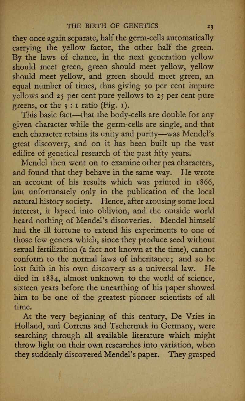 THE BIRTH OF GENETICS 25 laws held good in other plants, and also whether they were true for animals as well- Both Bateson and Hurst had been breeding poultry, and they quickly reorganized their experiments to see how far the same principles applied here. Again they were fortunate in their material, for in poultry there are quick generations, and a large number of progeny can be raised from good laying hens. It was soon found that characters in poultry were behaving in just the same way as in the peas. Hurst was working with rabbits as well, which are also quick-breeding animals producing big families, and large numbers are always important to test the ratios. Many important facts came to light in this work with animals. Thus it was quickly discovered that most characters are controlled by more than one factor and that, so far as breeding is concerned, things are certainly not always what they seem. In rabbits, for instance, it was soon apparent that albinos (rabbits which are quite colourless themselves) may be carrying factors for colour which they can and do hand on to their offspring, so that it was never safe to breed experimentally with any animal until it had been thoroughly tested by previous breeding to find out what factors its germ-ceUs really contained, as the récessives were always concealed until extracted by breeding. Rabbit colours proved to be unexpectedly complex, but extremely illuminating. The colour of the wild rabbit (Agouti) is really a complex mixture, as one can see on examination. The hairs arc black with a yellow band. Along the back, loins, ears, and forehead are a few long black hairs, while below the body and tail the colour is greyish-white. Using the first letters of the alphabet as symbols for the* factors involved, this colouring may be said to be due to