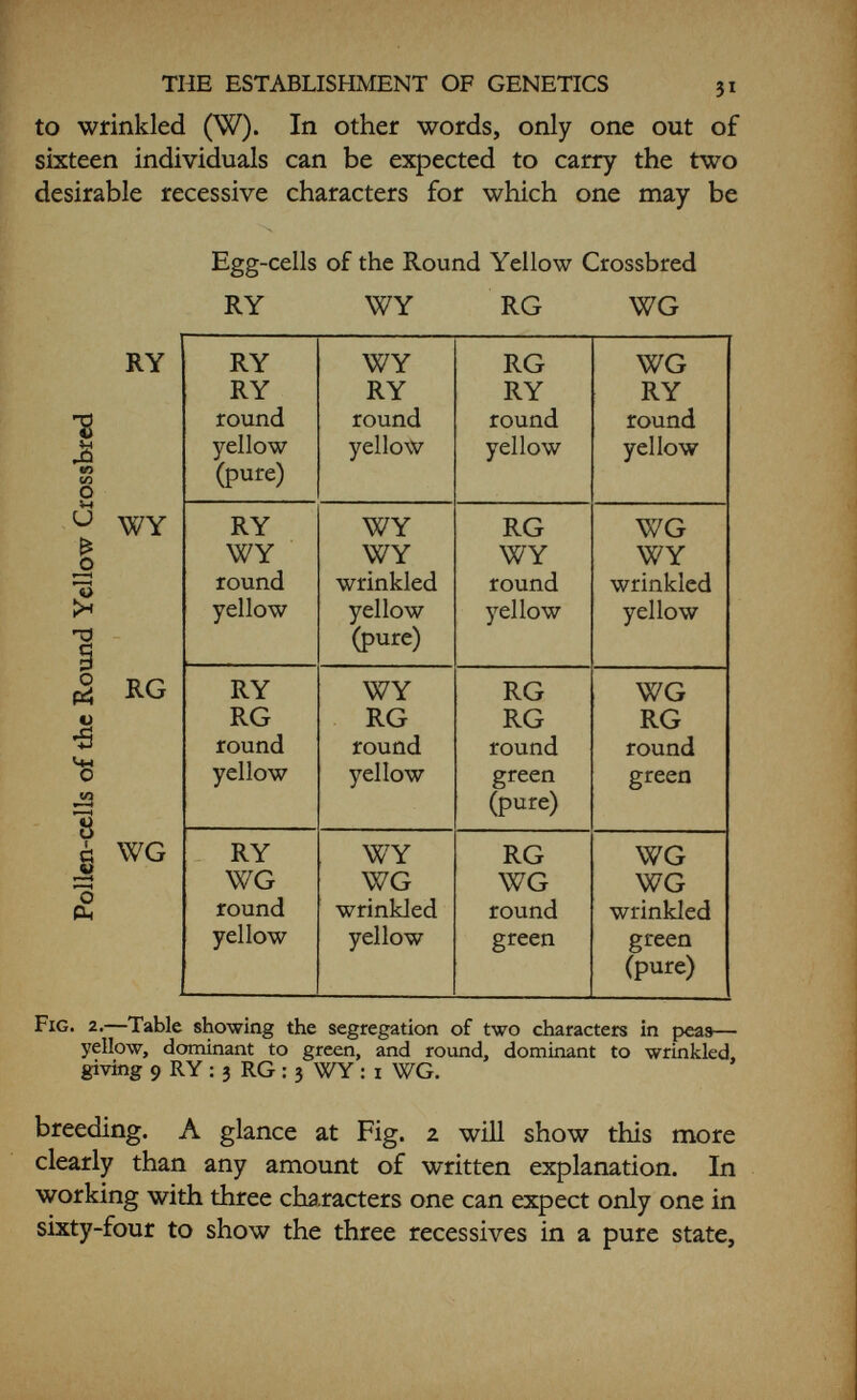 THE ESTABLISHMENT OF GENETICS 33 University, W. E. Castle was carrying out researches with rabbits, the publication of his results often coinciding with that of Hurst; the fact that two independent workers on opposite sides of the Atlantic, using different stocks, should obtain the same results, provided one of the most convincing proofs of the truth of the Mendelian principles in the early days of controversy. The practical aspect of the new knowledge was now becoming evident. Although the old breeders had had great success, it had all been  hit or miss and most of their best breeding had been done more by intuition than by direct knowledge. Before the analysis of characters by the Mendelian researches the idea of the fusion of parental characters had never given breeders any sure hope of getting what they wanted, or, having got it, of pre¬ serving it. But under the new system they could confidently breed for any given character or combination of characters that they desired. Some of the best of the early work was done on wheats, the staple food-plant of many nations. The early colonists in the Dominions and the U.S.A. had made wheat their main crop in the areas where the climate was suitable to its growth, but there were vast tracts where it was too dry, others where it was too cold, and there were many pests of all kinds causing havoc in the crops. With the discovery of the purity of the germinal characters, however, it was realized that it was possible to bring together within one variety desirable characters which had hitherto been scattered through several varieties, and in so doing to eliminate undesirable characters. For instance, early ripening is a very necessary character in those areas with a short summer, and new varieties were soon bred which matured much more rapidly, with the rcsiilt that it was possible to raise excellent crops over