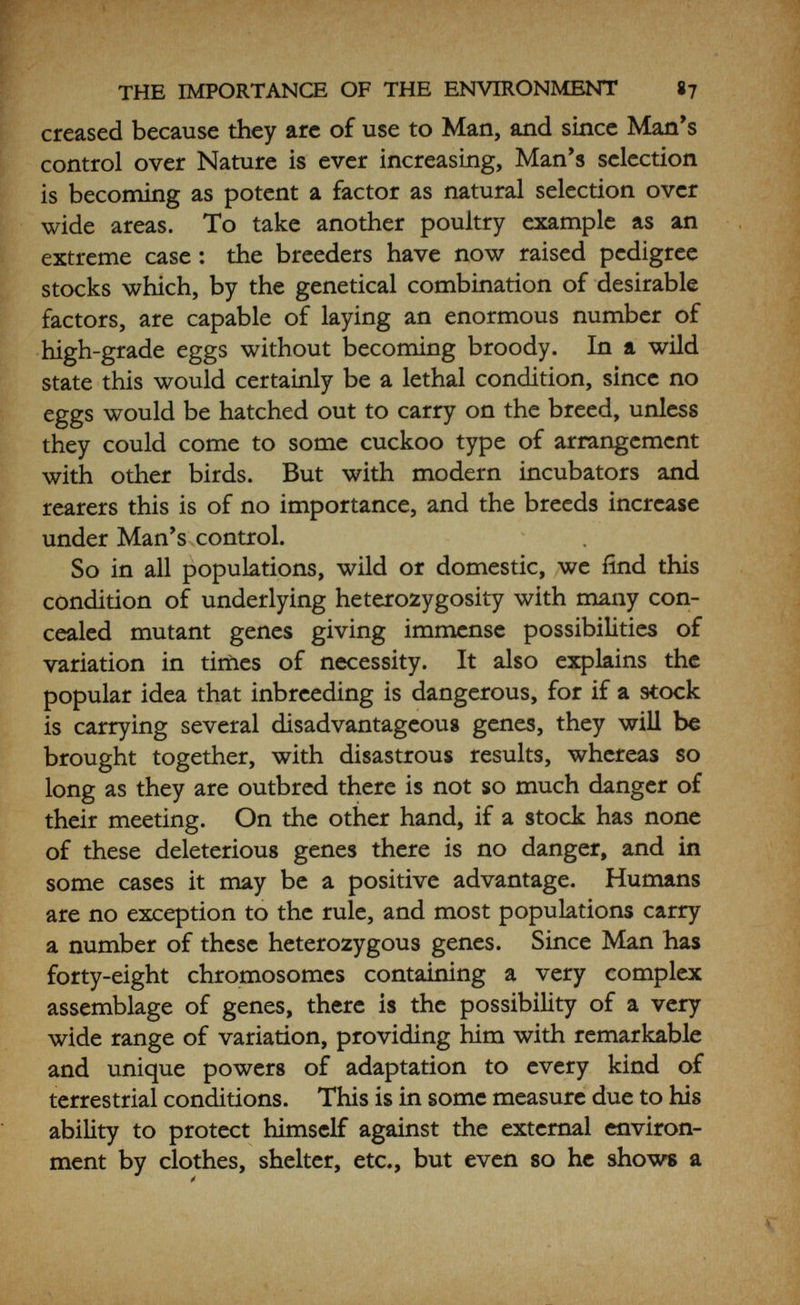THE IMPORTANCE OF THE ENVIRONIvIENT 89 not being so similar; in which case the gene of one complex may dominate that of another. But very little work has been done as yet to disentangle the exact relationships of these multiple effects, not only of the genes themselves, but of all the complex inter-reactions which must take place under such conditions. Studies of individual plants of polyploid roses seem to show that they can react to differing conditions from year to year within the same individual, but years of careful observa¬ tion would be needed to substantiate this. In Hurst's polyploid rose species hybrids, now growing in the R.H.S. gardens at Wisley, one may in some cases observe different gene manifestations in the same character scattered through the plant. It is perhaps interesting to point out here that Michurin's work in Russia, upon which the new Soviet genetics—a form of Lamarckism—is based, was largely with complex fruit hybrids, principally apples, which are also polyploid (page 62). He, too, found that they gave varied reactions under differing conditions. Both he and Lysenko, who has worked much with polyploid wheats, stress the importance of hybridizing and crossing to make the organism as unstable as possible towards its environment, so that it can vary in any direction required. As Michurin points out in his papers, since the parentage of most of his varieties was unknown and it would take too long to test such slow-growing trees, Mendelism could not be applied. Without genetic control one can only revert to the methods of the old breeders. iviichurin also elaborated the  mentor  method, in which he grafted cuttings from an old, heavily fruiting variety on to a new poorly fruiting one, thereby causing it to become extremely frviitful. He claimed that fruiting was hastened by this means, and other deviations were
