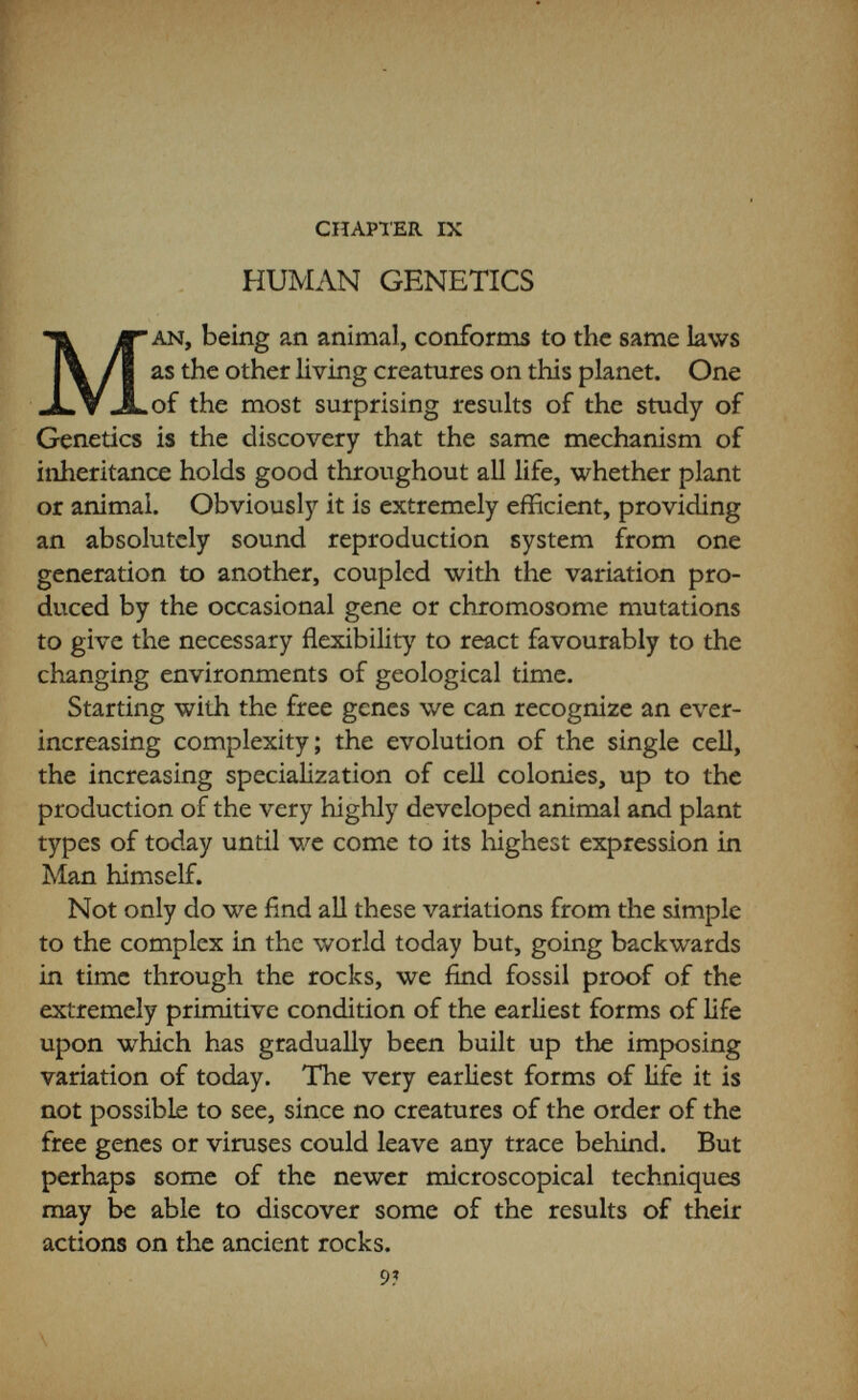 HUMAN GENETICS 95 apes today. Moreover, fossils are preserved only under rather unusual combinations of accidents which will ensure their continuance, and so only those creatures which occur in very large numbers may be expected to leave behind any great accumulation of remains. Recent work, however, has discovered several of the  missing links , the search for which caused so muçh excitement at the turn of the century, and our knowledge of the gradual ascent of Man is rapidly increasing. Several fortunate possessions enabled him to gain an ascendancy over all the other creatures. First and fore¬ most was the enlargement of the brain, coupled with his distinctive powers of vision and correlated with the thumb-finger ability to hold and to use other objects. By his greater powers for thought—for memory of the past and forethought for the future—he was able to out¬ wit the other animak and, as this power gradually evolved to greater heights, he was able to take other forms of life for his own use by the domestication of animals and plants. More and more has he come into the control of his environment, and today we see him mastering one force of nature after another until the whole resources of the planet come under his control. Not content with this, his roving mind stretches out to the other planets and to the remotest recesses of the universe. As an experimental animal, Man is a complete failure. The normal production of only one child at a birth, and the very long time which elapses between generations, are sufficient stumbling-blocks in themselves, but coupled with these is the impossibility of putting any direct control on his breeding. On the other hand, we have a long and accurate account of his history, stretching back for a considerable time, and of no other animal have