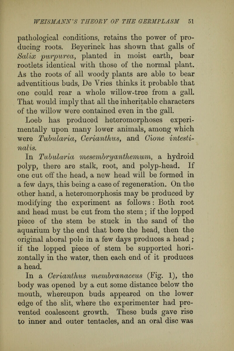 WEISMANN's THEORY OF THE OERMPLASM 53 The third animal in which heteromorphosis was produced artificially was Clone intestinalis, a solitary ascidian, an animal more highly organized. In done (Fig. 2) the edges of the mouth-opening and of the cloaca are provided with numerous, simple eye-spots. Loeb, in a series of experiments, made incisions either into the inhalent or the ex¬ halent tube ; after a time eye-spots appeared round the edges of the cut ; then the margin of the arti¬ ficial oral opening grew out into a tube, even longer than the normal oral tube. 'If several incisions be made simultaneously at different places on the same animal, then several new tubes arise simul¬ taneously.' In the three cases, the cut surfaces, from which in Tubidaria, a head, in Gerianthus, tentacles, and in Clone, eyespots, took their origin, were made in different parts of the bodies and in different direc¬ tions. Thus, again, we have an indication that there are present in most regions of the body cell- groups, which may give rise to complex organs in unnatural positions, and yet bearing the specific stamp. These examples might easily be multiplied, and they serve to show that heteromorphosis in plants and animals implies the presence of numerous latent characters in cells and tissues, in addition to the characters proper to their normal position in the organism. These latent characters, under the impulse of stimulation from without, manifest themselves in abnormal formation of organs in abnormal situations. Save that they are in ab-