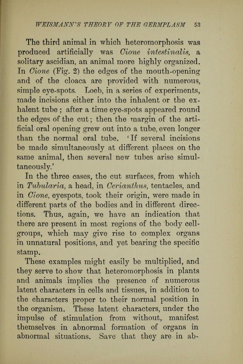 WEISMANN'S THEORY OF THE OERMPLASM 55 the cells, and that the cells may be pushed over one another like a heap of balls without disturbing in the slightest their capacity to develop. Such a permutation could be without injury to the develop¬ mental product only if one nucleus had the same qualities as another ; that is to say, only if all the nuclei had arisen from the nucleus of the fertilized egg by doubling division. Driesch is right to regard these experiments as incompatible with Weismann's theory. ' Only consider,' he remarks, ' how great a number of  supplemental hypotheses, how many  accessory determinants, would be required to make speci¬ fication of the early stages of a development in which any nucleus may take the place of any other nucleus in the whole embryo.' I myself have carried out similar experiments upon frogs' eggs—experiments with a double in¬ terest. The frog's egg has the poles different, and so has a definite orientation. Weismann and Roux themselves have used these objects to support their view that, at the first cleavage, nuclei with different qualities are formed. On p. 64 of the English edition Weismann remarks : ' The fact that the right and left halves of the body can vary independently in bilaterally symmetrical animals points to the conclusion that all the determinants are present in pairs in the germplasm. As, moreover, in many of these animals—e.g., in the frog—the division of the ovum into the two first embryonic cells indicates a separation of the body into right and left halves,