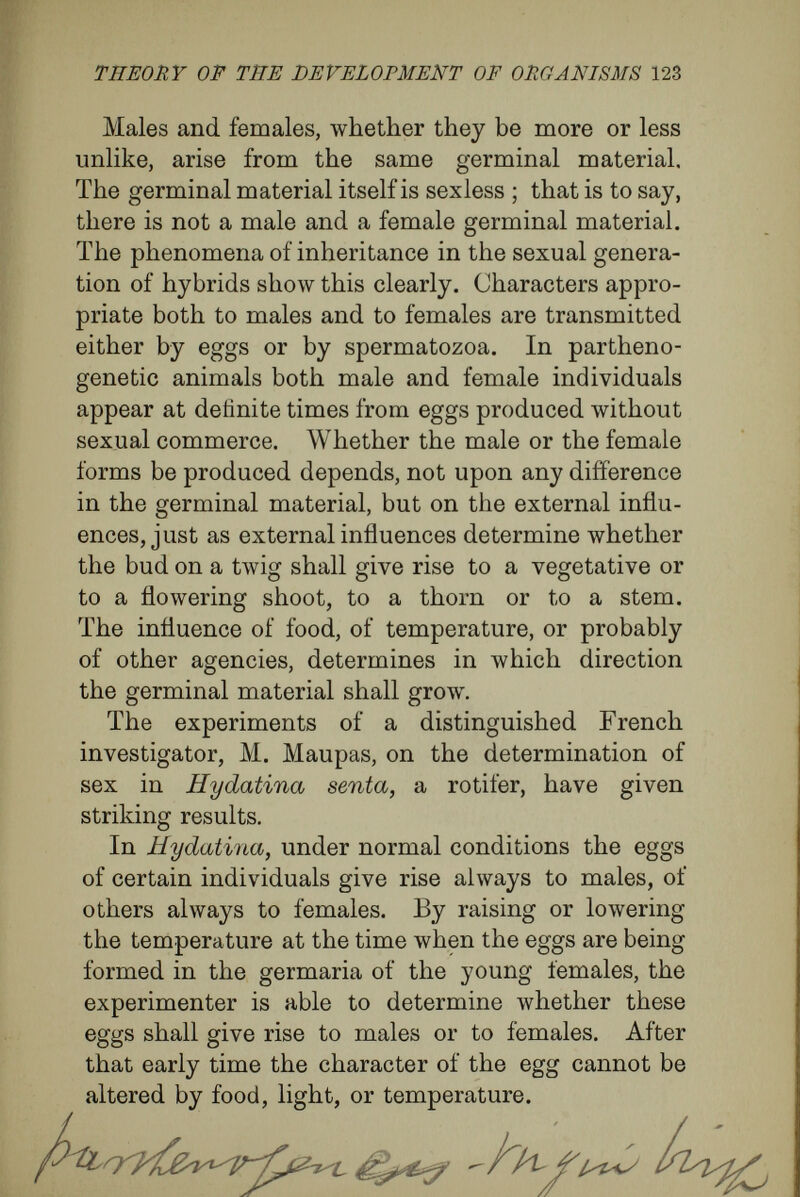 THEORY OF THE DEVELOPMENT OF ORGANISMS 125 have the high-pitched voice and the peculiarities of the larynx found in women. As much as sexual dimorphism, the phenomena of polymorphism show the enormous influence exerted by external forces upon correlated varia¬ tion of the parts during development, and in this way upon the final structure. In the question of polymorphism it is worth while to discuss at some length the extreme poly¬ morphism exhibited in the case of some of the colonial animals—first, because the matter has recently occasioned an important controversy be¬ tween Herbert Spencer and Weismann ; and, secondly, because the discussion will serve to make still more clear the difference between my views and those of Weismann upon the nature of the process of development. Among the colonial insects there arise, in addition to males and females, sexless individuals known as neuters. These in certain cases are very different from both males and females in structure and in social instincts. Among bees there are the queens, sexually mature females ; the workers, females whose sexual organs are rudimentary, and parts of whose bodies —the stings, the wings, the hind legs, with their pollen-collecting apparatus—are peculiarly formed; and, lastly, the males, or drones. In many of the ant and termite colonies still greater differences exist between the different sets of individuals. In addition to males and females, there are sexless workers, and these in many species
