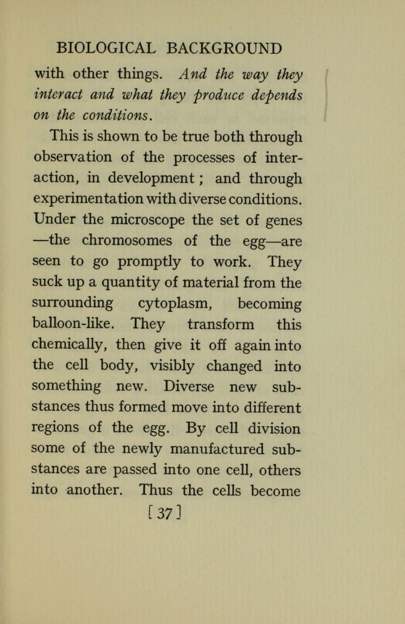 BIOLOGICAL BACKGROUND did.* The differences between the diverse cells of the body are, therefore, not in these substances, not in the genes they contain, but in the remaining part of the cells, the cytoplasm. These differentiations have been produced by the interaction of the genes with the cytoplasm. It is in this way that the complex adult body, with its typical pattern of structures, is produced. In producing these structures, the genes interact, not only with each other, with the cytoplasm, with the oxygen from the surrounding medium, and with the food substances in the cytoplasm ; but also, what is most striking and important, with products from the chemical processes in neighbouring cells. Necessarily, then, this complicated inter- ♦ Like almost any biological generalization, this statement is subject to exceptions. But for most parts of most organisms it is true. [39]