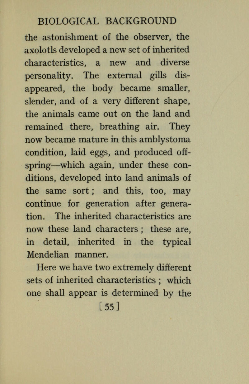 BIOLOGICAL BACKGROUND sets of inherited characteristics ; the decision as to which shaU be produced depending on the environment. The axolotl may be compared to an unedu¬ cated man, the amblystoma to an educated one. The educated man has characteristics very diverse from those he would possess if uneducated. We say, when we think of this fact, that these are acquired characters, environmental characters, due to educa¬ tion. This is correct ; but there is a tendency to go farther and say that these are not inherited characters. This is a mistake—unless we are pre¬ pared to cancel in Mo the designation  inherited characters. The character¬ istics of the educated man are his native, inherited characters, just as truly as are any that he has. Forali his characteristics depend on the con- [57]