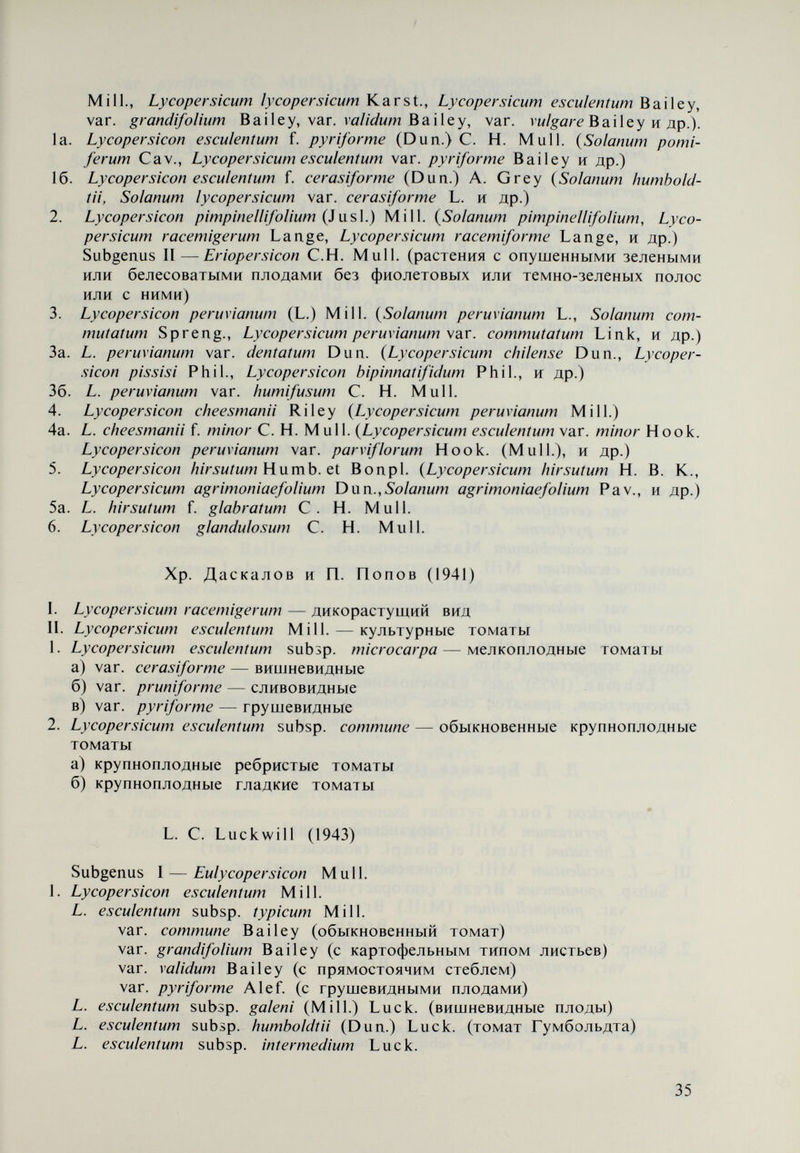 var. pyriforme (С. Mull.) Brezh.—грушевидный var. pruniforme Brezh.—сливовидный var. elongatum Brezh.—удлиненный var. succenturiatum Brezh. — многогнездный 3. Subsp. cultum Brezh. (культурный томат) var. vulgare Brezh. — (индетерминантный) var. validum (Bailey) Brezh. (детерминантный) var. grandifolium (Bailey) Brezh. (крупнолистный) Becker-Dillingen (1956) Lycopersicon peruvianum L. (Dun.) Lycopersicon h ir sut um Humb. et Bonpl. - Lycopersicon glandulosum Mull. Lycopersicon humboldtii Dun. Lycopersicon cheesmanii Ri ley Lycopersicon pimpinellifoìium Mill. Lycopersicon esculent um Mill. var. pruniforme A. Voss — сливовидные var. pyriforme A. Voss — грушевидные var. oviforme A. Voss — яйцевидные var. cerasiforme A. Voss — вишневидные var. ribesiforme A. Voss — кистевидные var. vulgare Alef. — ребристые var. commune Bailey — обыкновенные var, finiens Lehm.—детерминантные var. umbertianum Mazk. —удлиненные плоды как Сан Марцано var. grandifolium Bailey — крупнолистные H. Колев (1963) Принимает классификацию Брежнева (1955, 1958), предла¬ гая дополнения к классификации культурного томата: L. esculentum subsp. cultus Brezh. 1. Forma indeterminata — индетерминантная форма а. Habitu communi — обыкновенный габитус Habitu fruticoso — штамбовый габитус 2. Forma determinata — детерминантная форма а. Habitu communi — обыкновенный габитус Habitu fructicoso — штамбовый габитус П. М. Жуковский (1964) Lycopersicon Mill. I —Eulycopersicon Mull. 1. L. pimpinellifoìium (Juslen) Mill. f. galapágos Rick. • 2. L. esculentum Mill. - ■ t var. cerasiforme (Dun.) Alef. - var. minor Hook. (L. cheesmanii Hook.) convar. esculentum (совокупность культурных форм — var. pyriforme и др.) 37