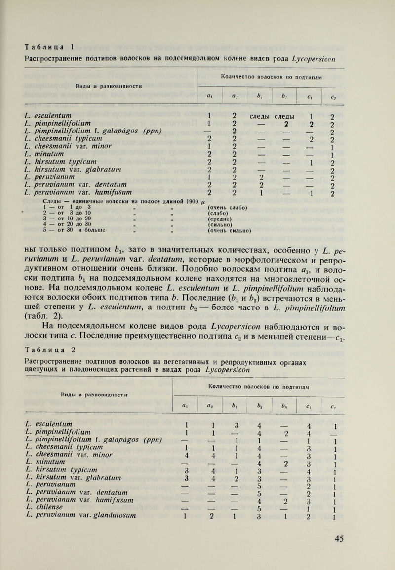 Различия между составом волосков на репродуктивных органах также слабо выражены. Весьма тесная связь была установлена между количеством волосков и возрастом органов. Например, волоски подтипа Ci очень сильно распростра¬ нены на совсем молодых органах растений и почти отсутствуют на старых. Волоски подтипов üi и bi находятся в больших количествах также на молодых органах. Эти волоски быстро старятся и крошатся. Волоски подтипов а» и Ь» значительно более долгоживущие и покрывают как молодые, так и старые органы растений. Что касается роли волосков при разделении рода Lycopersicon на две под- родовые категории, то следует определенно отметить, что этот признак не может служить критерием такого разделения. Виды подродовой категории Lycopersicon (Eulycopersicon) — L. esculentum, L. pimpinellifolium, L. cheesmanii typicum и L. cheesmanii var. minor — имеют волоски типов a, b н с, a. L. pimpi¬ nellifolium f. galapágos и L. minutum — только типов bue (см. табл. 2). Виды подрода Eriopersicon различаются в зависимости от комплекса волосков. На¬ пример, L. hirsutum typicum и L. hirsutum var. glabratum очень богаты как во¬ лосками типа а (í7i и а^, так и подтипами Ь^ и Ci, а в меньшем количестве — подтипами и c.¿. Виды комплекса peruvianum — L. peruvianum, L. peruvia- num var. dentatum, L. peruvianum var. humifusum и L. chilense — имеют волоски только типов ò и с, в особенности òo. Исключением является L. peruvianum var. glandulosum, который характеризуется незначительным количеством во¬ лосков типов а, b к с, к несколько большим количеством подтипа Ь». Согласно Luck will (1943) среди некоторых популяций L. peruvianum были найдены растения с волосками, которые по описанию отвечают типу а (подтип а^. В репродукциях ВИР (СССР) и Beltsville (США), которые мы изучали, подобные волоски не были обнаружены. Подтиповыми волосками, характерными для L. hirsutum typicum и L. hirsutum var. glabratum, являются «i, a.,» Ci и в меньших количествах — bx и Со (см. табл. 2). Вследствие большой длины волосков подтипа а^ и отчасти 6i (2000 —3000 ij) эти виды по сравнению с остальными видами рода выгля¬ дят наиболее волосистыми. У растений L. peruvianum var. glandulosum, хотя и в меньших количествах, имеются волоски подтипов а^, а» и bi, в результате чего они также в значительной степени опушены и по этому признаку сходны с L. hirsutum. Заслуживает внимания тот факт, что для различных исследованных ре¬ продукций L. hirsutum var. g/aòrù/wm установились некоторые количественные различия. Репродукция Голландии была близка по составу волосков к L. hir¬ sutum typicum. В репродукциях ВИР — СССР и США (происхождение Baños, Эквадор) волоски типа а встречались реже по сравнению с типом Ь. Эти раз¬ личия являются выражением возможностей разновидности количественно варьировать состав волосков при различных климатических условиях. Некоторые из видов подрода Lycopersicon {Eulycopersicon') — L. chees¬ manii typicum, L. esculentum и L. pimpinellifolium — характеризуются медлен¬ ным исчезновением волосков типа а, которые встречаются на цветущих и пло¬ доносящих растениях. В процессе развития их число постепенно уменьшается, а к концу вегетации они вообще исчезают или находятся в очень незначитель¬ ных количествах, главным образом, на репродуктивных органах. L. cheesmanii typicum и L. cheesmanii var. minor, пока они молоды и находятся в начале пло¬ доношения, слабо различаются по составу волосков. Как вид, так и разно- 47