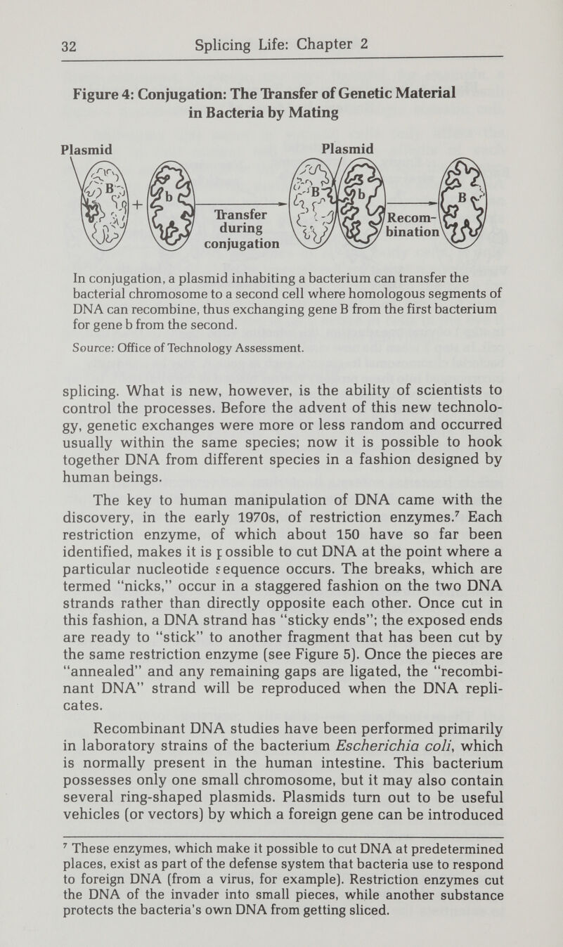 34 Splicing Life: Chapter 2 Figure 6: Splicing Human Gene into Plasmid E. coli bacteria, taken from human intestine Pancreas Nucleus Plasmid E. coli chromosome I Plasmid removed from E. coli Plasmid cut open by restriction enzyme at a specific site Human cell Strand of DNA from human cell Human DNA cut I . into pieces W by restriction enzyme Two pieces spliced together Recombinant DNA (hybrid plasmid) Human insulin gene Hybrid plasmid inserted into E. coli cell Source; President's Commission. Bacteria with hybrid plasmid replicate, creating clone capable of producing insulin