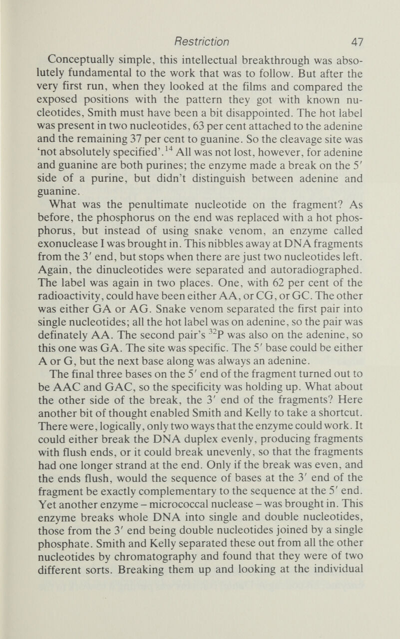 Restriction 49 service of molecular biology. Nathan's target was a little virus that infects the cells of monkeys, hence its name simian virus 40, or SV40. SV40 can, when conditions are right, transform the cells it has infected and make them grow like cancerous tumours, so it has not unnaturally been the subject of intense interest by many groups of researchers. But before examining the developments, in SV40 and elsewhere, that followed Smith's work with the Haemophilus influenzae enzyme, it is worth looking at the way in which interest in restriction enzymes took off. Meselson and Yuan had an enormously hard job demonstrating that the various fractions they collected were, or were not, posses¬ sed of restricting activity. They had to use modified DNA labelled with one type of radioactive isotope and unmodified DNA with a different label. Then, after incubating a mixture of the two with the putative enzyme, they had to spin the products down a sucrose density gradient. Dividing the gradient into portions and counting the different types of radioactivity in each took yet more time, and at the end the results had to be examined carefully to see which fractions were able to destroy unmodified DNA. It worked, but it took time. Smith and Wilcox went one better. No longer were they depen¬ dent on tedious density-gradient separations and radioactivity assays (though they still used those for confirmation); they had the viscometer, which gave a purely physical indication of whether the DNA was being broken or not. In the right hands, this was a much speedier process for testing the various fractions, and enabled Smith and his helpers to progress rather rapidly. Still, the tech¬ niques were not as fast as they were to become, and it was Nathans and his SV40 who pushed the speed up another notch. Nathans's intention was to divide the DNA of SV40 up into manageable fragments, the better to understand how the entire virus worked. He quickly established that Smith's restriction enzyme did indeed break open SV40's circle of DNA, and that it created several fragments. The next goal was to resolve the mixture of fragments into its component parts, and for this Nathans enlisted the help of Kathleen Danna, a graduate student in his laboratory. The technique they used was electrophoresis, but rather than using cellulose as a supporting medium for the mixture of fragments they used a gel containing Polyacrylamide. This is a long thread-like molecule that hnks to form a mesh permeated by small pores. The amount of Polyacrylamide sets the average size of the pores, which