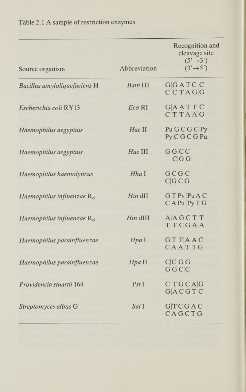 60 Restriction the operation of the whole genome. Restriction enzymes, as models of more general protein-nucleic acid systems, will doubt¬ less provide fascinating insights to those prepared to pursue them. But for the vast majority of molecular biologists, restriction enzymes are of importance not because they might provide fun¬ damental insights or anything like that: they cut DNA, and that's what counts.