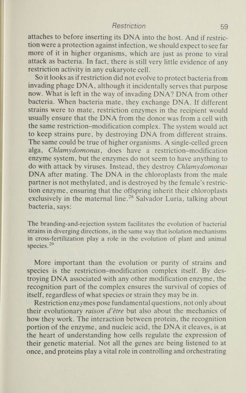 Tools Other enzymes used in genetic engineering The restriction enzymes have offered a glimpse at the tools that living things themselves use. That genetic engineers also find them useful is undoubted - in fact, they are more than useful, they are indispensable - but there is a host of other biochemicals that the engineers are equally dependent upon. Ordinary chemical synth¬ esis and manipulation cannot compare with the powers of life's chemicals, a fact that has led people to treat biochemicals as mysterious. And in a sense they are mysterious, as we shall see; but they do not break any of the fundamental laws of physics or chemistry, as they were once thought to. Historically, the vitalists believed that the chemicals made by living things were very special, imbued with a vital quality that was in some sense the essence of life. The molecules of life were themselves organic and possessed of life. This mysticism reflected, then as now, the inability of chemists to duplicate the processes of life in the laboratory. Gradually, however, understanding dawned; and the chemistry of life, while intriguing, was seen to be qualita¬ tively the same as the chemistry of the laboratory. Individual milestones on this road are hard to discern, but one was certainly the manufacture, in the laboratory, of an organic compound-urea - from an inorganic predecessor, ammonium cyanate. Friedrich Wöhler achieved this feat in 1828, and although there were objec¬ tions that urea, being a waste product, was not really an organic compound, vitalist notions began slowly to fade. There was, however, one little problem. Wöhler, to make urea, had to put vast amounts of energy into his mixtures. High tempera¬ tures were needed to persuade the constituent elements to join up and stay joined. The energy is stored in the chemical bonds that hold the organic molecules together. But the living cell apparently achieves the same end without recourse to such violence. Urea,